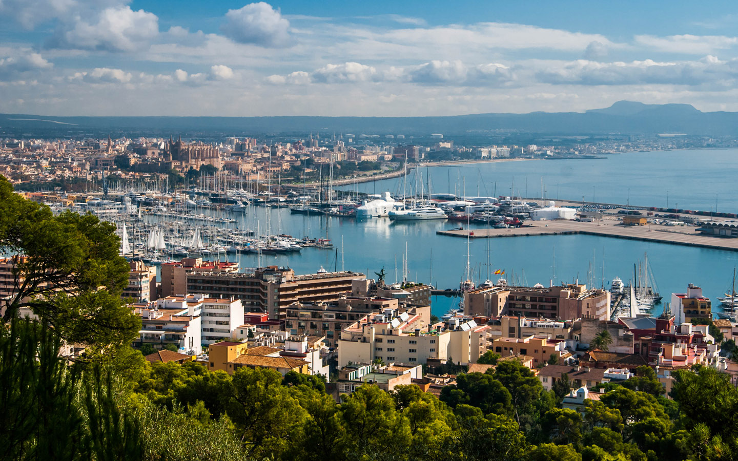 Surrounding Bellver Luxury in Palma with Mallorca Homebase